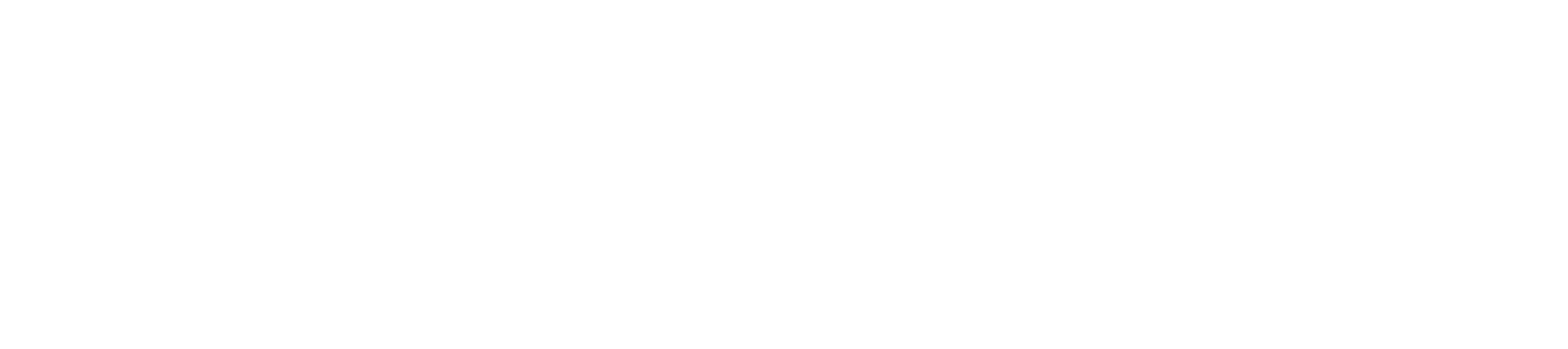 Navion